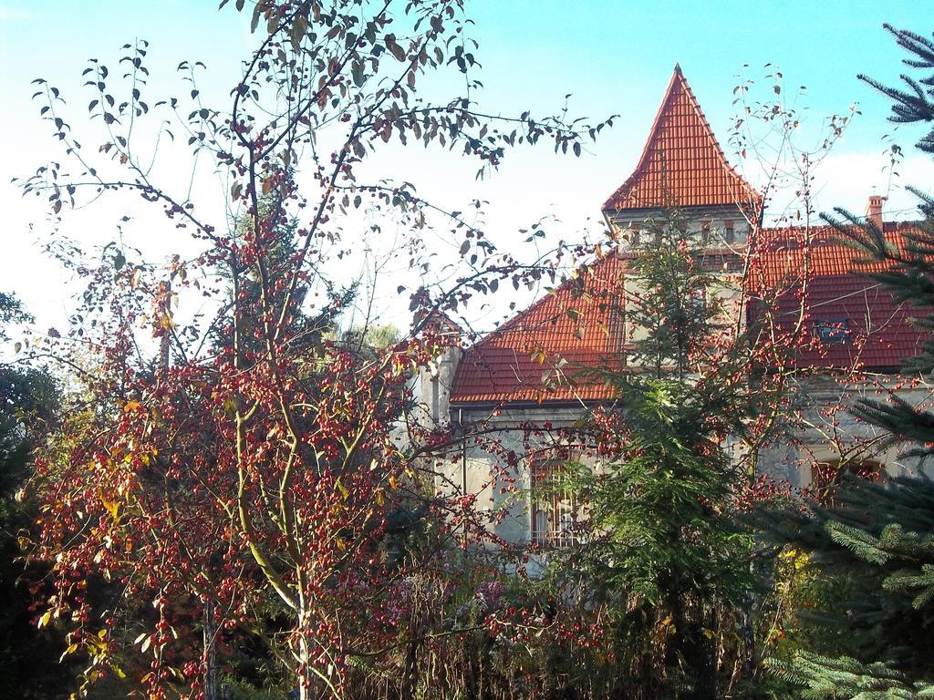 Villa Dwor W Boleniu Extérieur photo